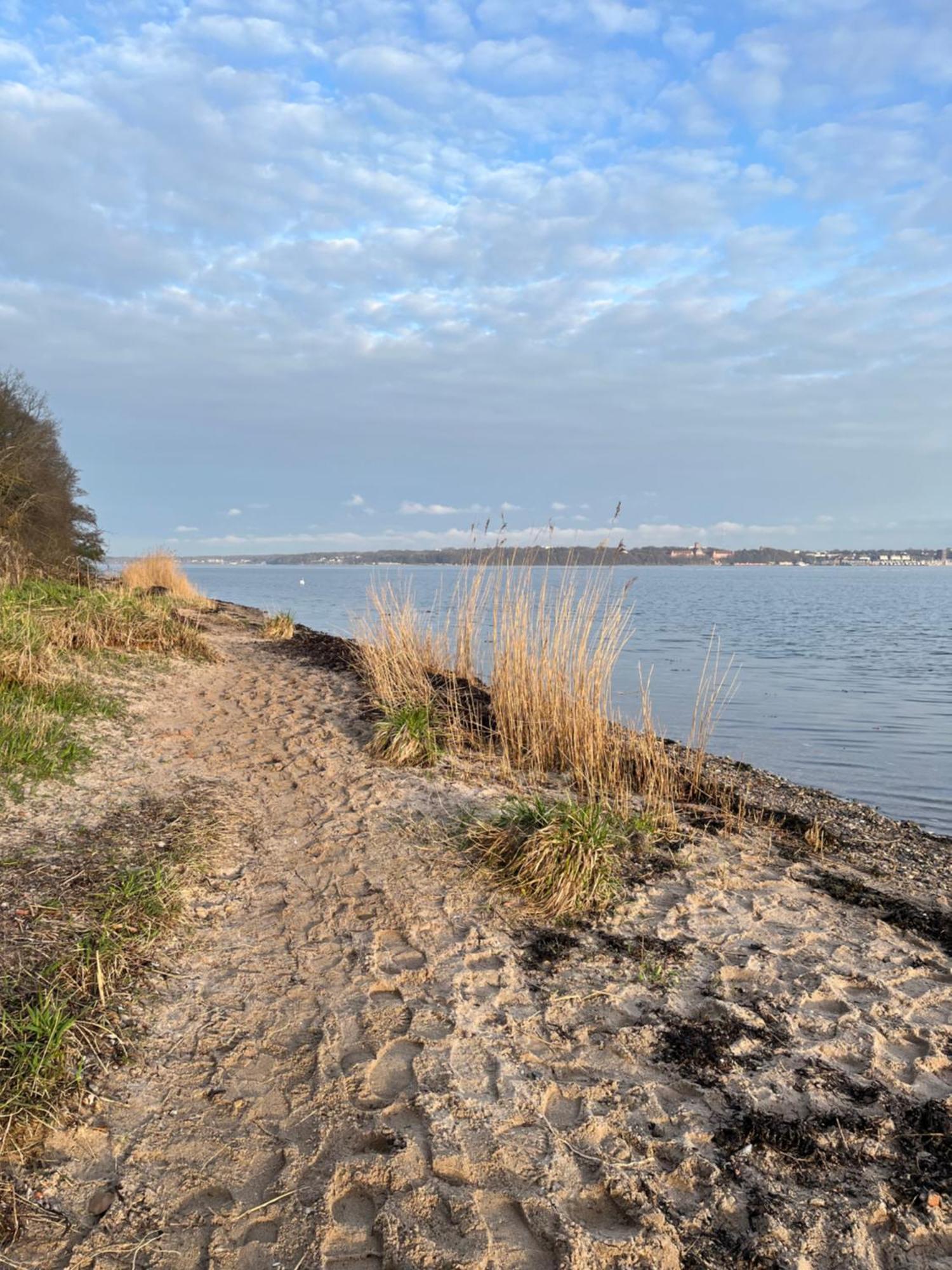 Neu 2024 - Fewo Mit Meerblick & Flair Harrislee Bagian luar foto